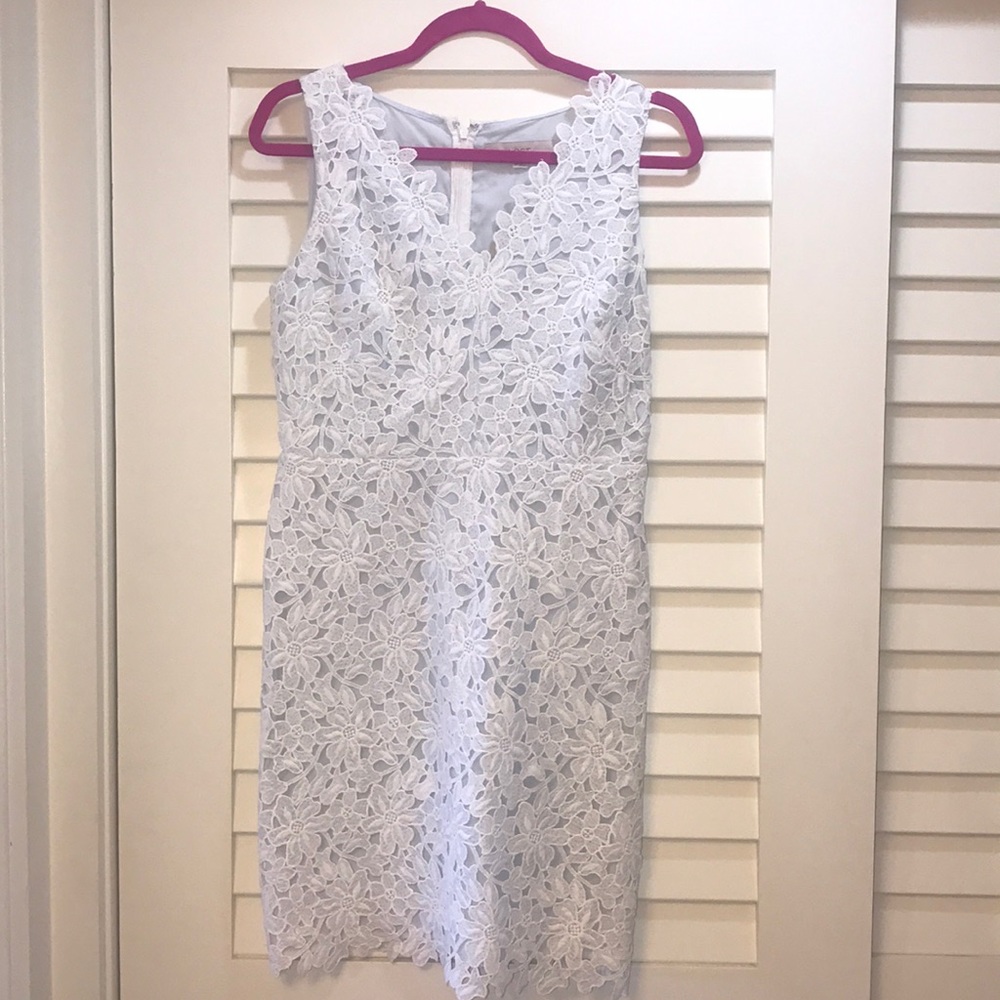 A brand new Ann Taylor LOFT dress.